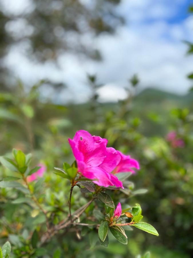 Casa De Campo Vizinha Da Lua 蒙特韦尔迪 外观 照片