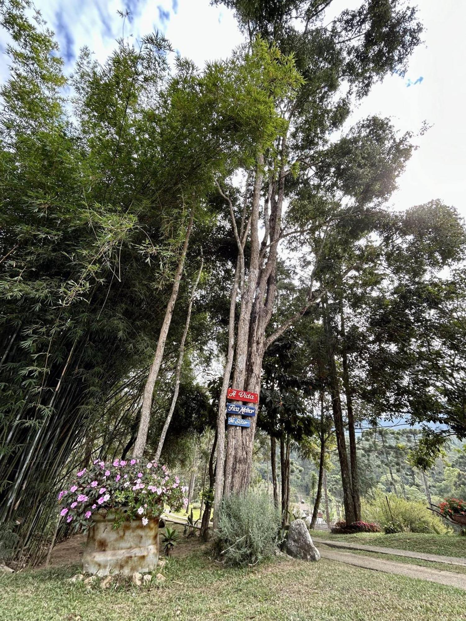 Casa De Campo Vizinha Da Lua 蒙特韦尔迪 外观 照片